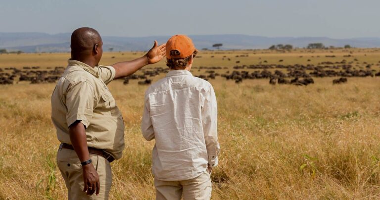 Best Time to Visit Tanzania