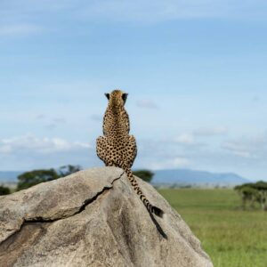 9-Day Serengeti, Ngorongoro, Tarangire & Kilimanjaro Tour